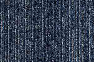 Ковровая плитка Shared Path на акустической основе Echo Acoustic 569 фото  | FLOORDEALER